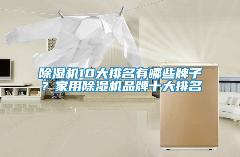 除濕機10大排名有哪些牌子？家用除濕機品牌十大排名