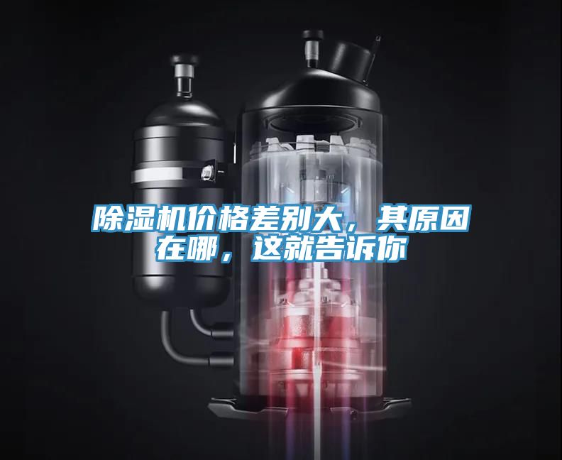 除濕機(jī)價格差別大，其原因在哪，這就告訴你