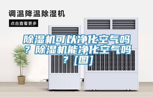 除濕機(jī)可以凈化空氣嗎？除濕機(jī)能凈化空氣嗎？[圖]