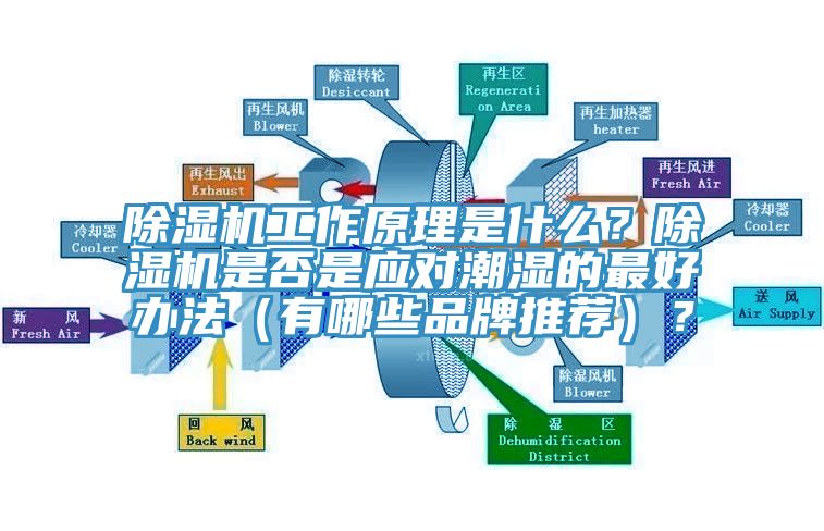除濕機工作原理是什么？除濕機是否是應(yīng)對潮濕的最好辦法（有哪些品牌推薦）？