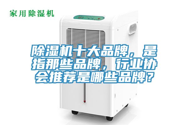 除濕機十大品牌，是指那些品牌，行業(yè)協(xié)會推薦是哪些品牌？