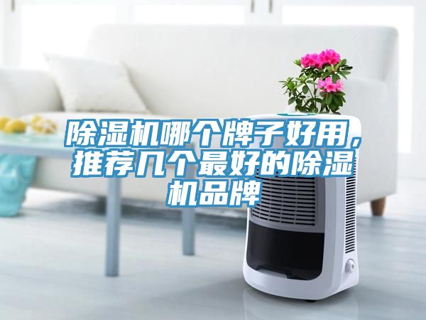 除濕機(jī)哪個(gè)牌子好用，推薦幾個(gè)最好的除濕機(jī)品牌