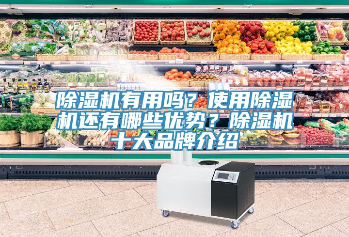 除濕機(jī)有用嗎？使用除濕機(jī)還有哪些優(yōu)勢(shì)？除濕機(jī)十大品牌介紹