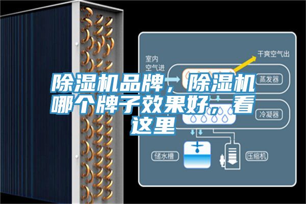 除濕機(jī)品牌，除濕機(jī)哪個牌子效果好，看這里