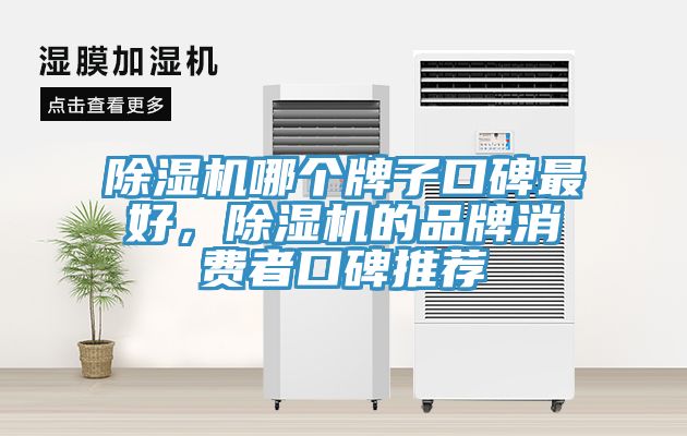 除濕機哪個牌子口碑最好，除濕機的品牌消費者口碑推薦