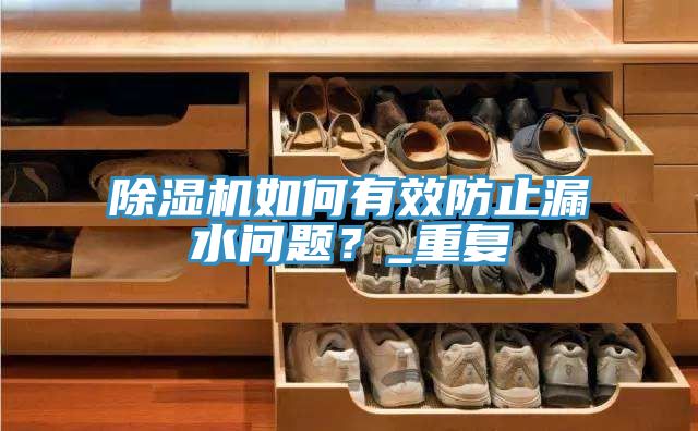除濕機如何有效防止漏水問題？_重復