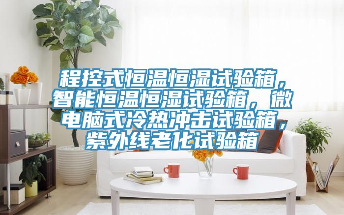 程控式恒溫恒濕試驗箱，智能恒溫恒濕試驗箱，微電腦式冷熱沖擊試驗箱，紫外線老化試驗箱