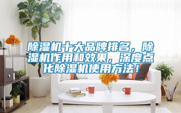 除濕機十大品牌排名，除濕機作用和效果，深度點化除濕機使用方法！