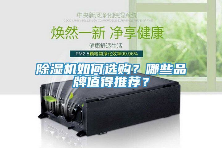 除濕機(jī)如何選購(gòu)？哪些品牌值得推薦？