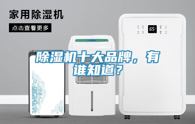 除濕機(jī)十大品牌，有誰(shuí)知道？