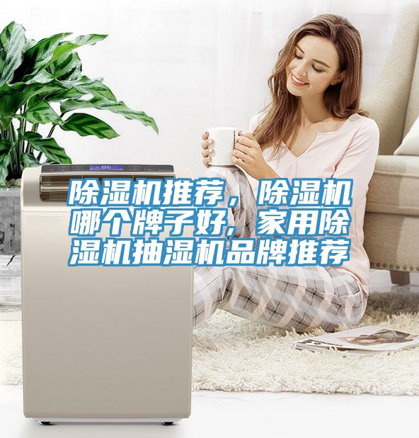 除濕機(jī)推薦，除濕機(jī)哪個(gè)牌子好, 家用除濕機(jī)抽濕機(jī)品牌推薦