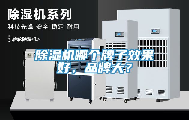 除濕機(jī)哪個牌子效果好，品牌大？