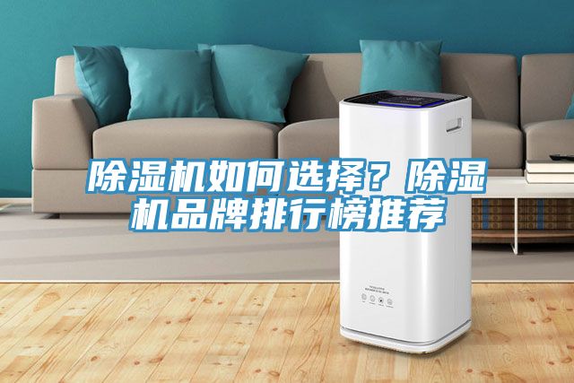 除濕機(jī)如何選擇？除濕機(jī)品牌排行榜推薦
