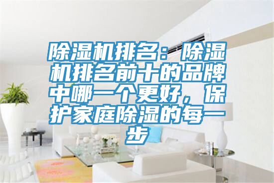 除濕機(jī)排名：除濕機(jī)排名前十的品牌中哪一個(gè)更好，保護(hù)家庭除濕的每一步