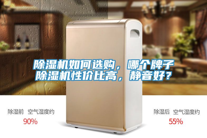 除濕機(jī)如何選購(gòu)，哪個(gè)牌子除濕機(jī)性價(jià)比高，靜音好？