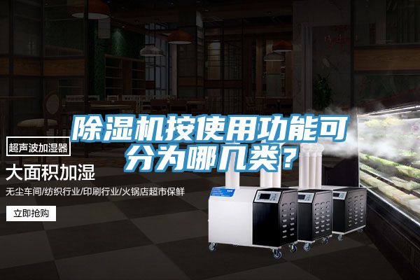 除濕機按使用功能可分為哪幾類？