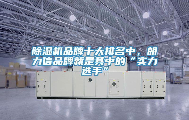 除濕機(jī)品牌十大排名中，朗力信品牌就是其中的“實(shí)力選手”