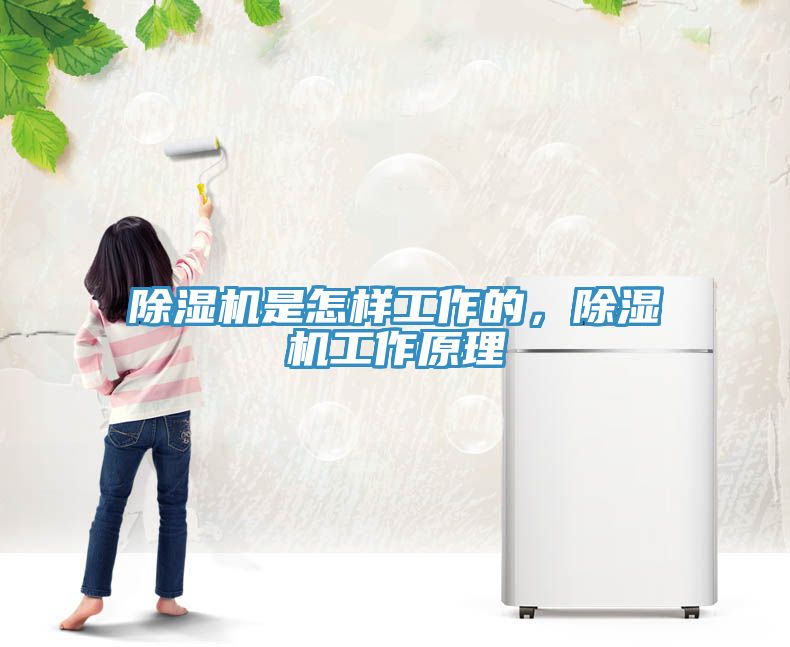 除濕機(jī)是怎樣工作的，除濕機(jī)工作原理