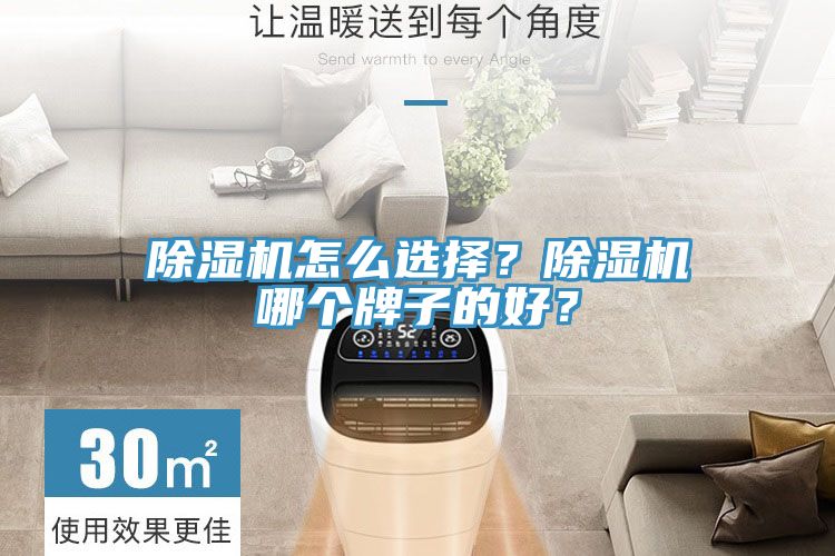 除濕機(jī)怎么選擇？除濕機(jī)哪個(gè)牌子的好？