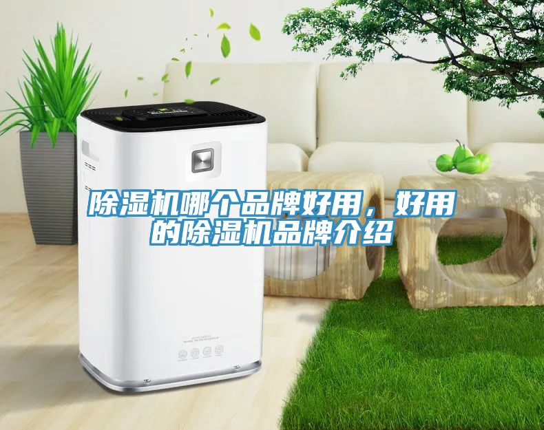 除濕機(jī)哪個品牌好用，好用的除濕機(jī)品牌介紹