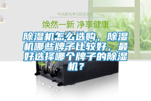 除濕機(jī)怎么選購(gòu)，除濕機(jī)哪些牌子比較好，最好選擇哪個(gè)牌子的除濕機(jī)？