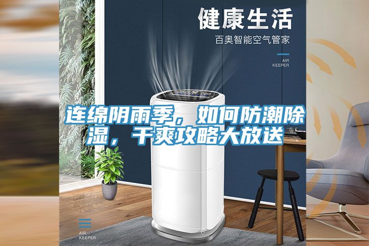 連綿陰雨季，如何防潮除濕，干爽攻略大放送