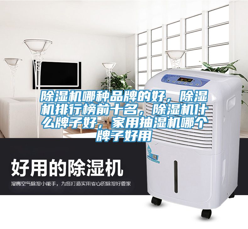 除濕機(jī)哪種品牌的好，除濕機(jī)排行榜前十名，除濕機(jī)什么牌子好，家用抽濕機(jī)哪個(gè)牌子好用