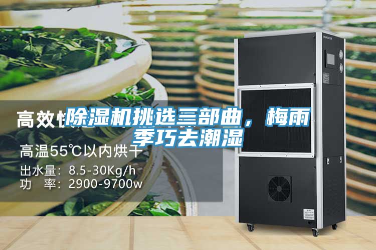 除濕機(jī)挑選三部曲，梅雨季巧去潮濕