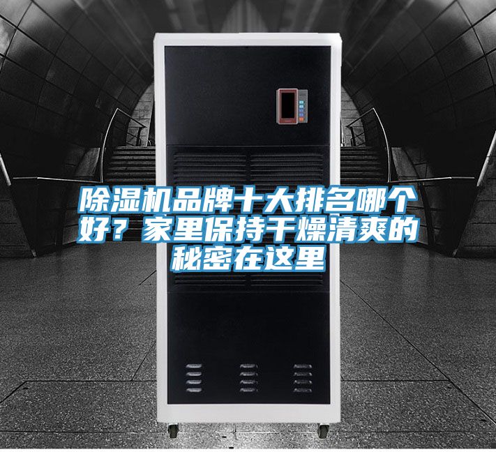 除濕機(jī)品牌十大排名哪個(gè)好？家里保持干燥清爽的秘密在這里