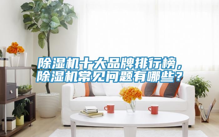除濕機十大品牌排行榜，除濕機常見問題有哪些？