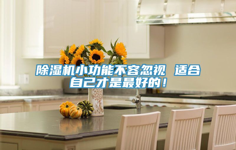 除濕機(jī)小功能不容忽視 適合自己才是最好的！