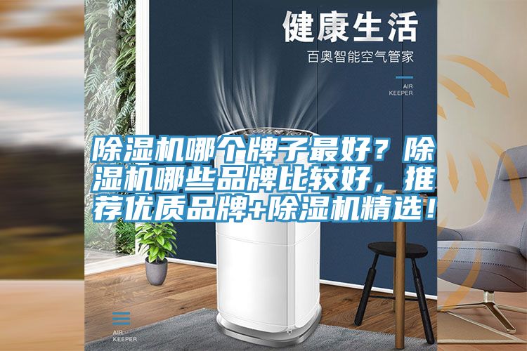 除濕機(jī)哪個牌子最好？除濕機(jī)哪些品牌比較好，推薦優(yōu)質(zhì)品牌+除濕機(jī)精選！