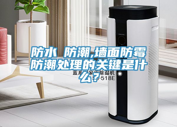 防水≠防潮,墻面防霉防潮處理的關(guān)鍵是什么？