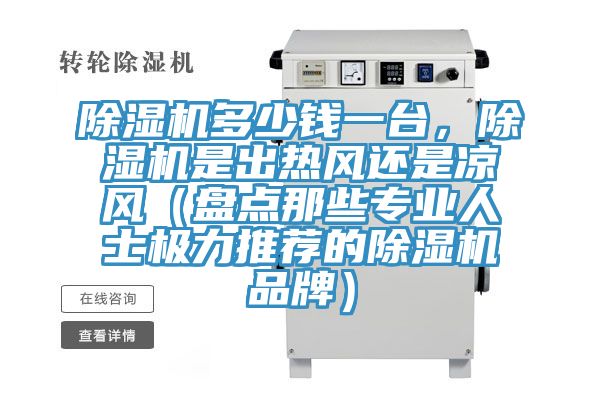除濕機(jī)多少錢一臺(tái)，除濕機(jī)是出熱風(fēng)還是涼風(fēng)（盤點(diǎn)那些專業(yè)人士極力推薦的除濕機(jī)品牌）