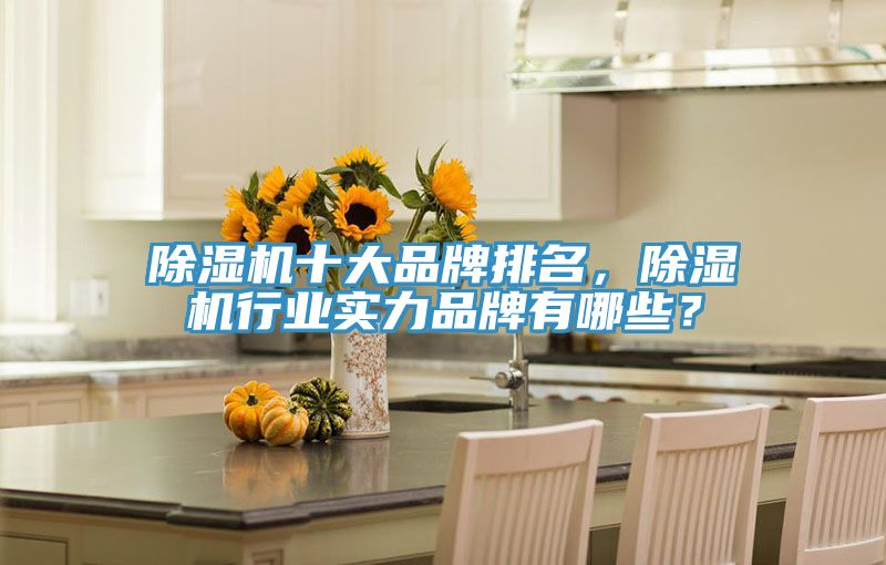 除濕機十大品牌排名，除濕機行業(yè)實力品牌有哪些？
