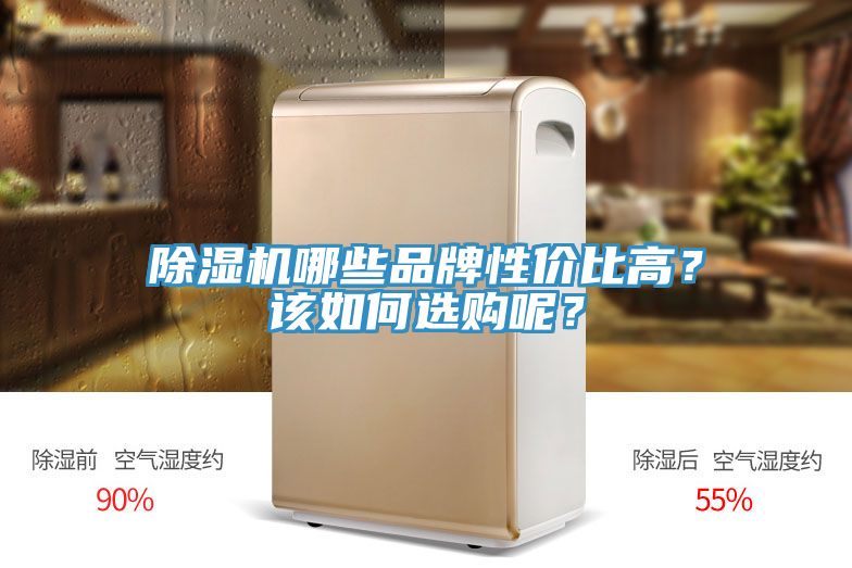 除濕機(jī)哪些品牌性價比高？該如何選購呢？