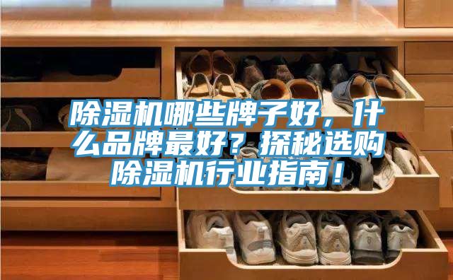 除濕機(jī)哪些牌子好，什么品牌最好？探秘選購(gòu)除濕機(jī)行業(yè)指南！