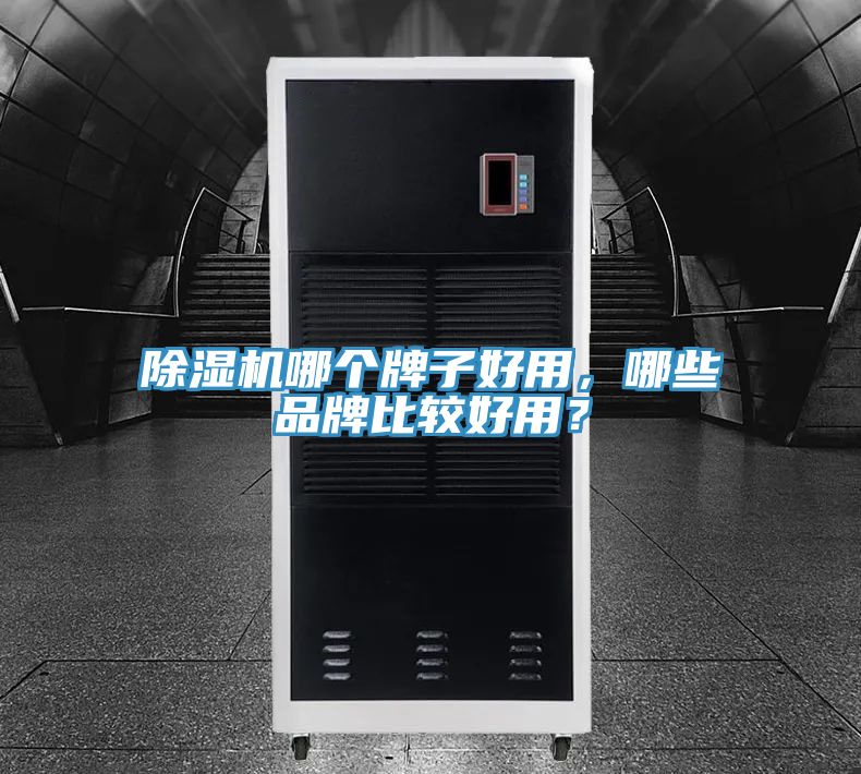 除濕機哪個牌子好用，哪些品牌比較好用？