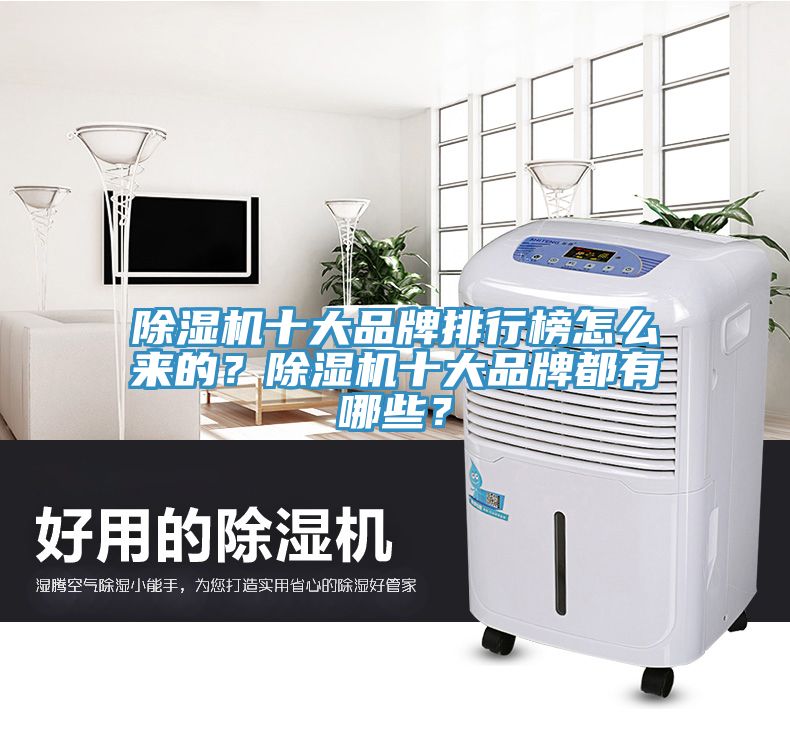 除濕機十大品牌排行榜怎么來的？除濕機十大品牌都有哪些？
