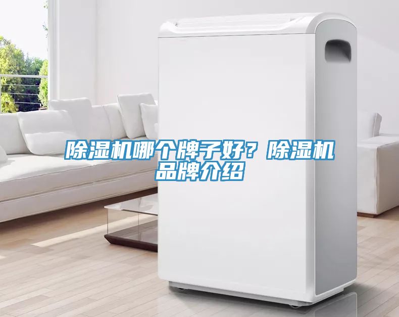除濕機(jī)哪個牌子好？除濕機(jī)品牌介紹