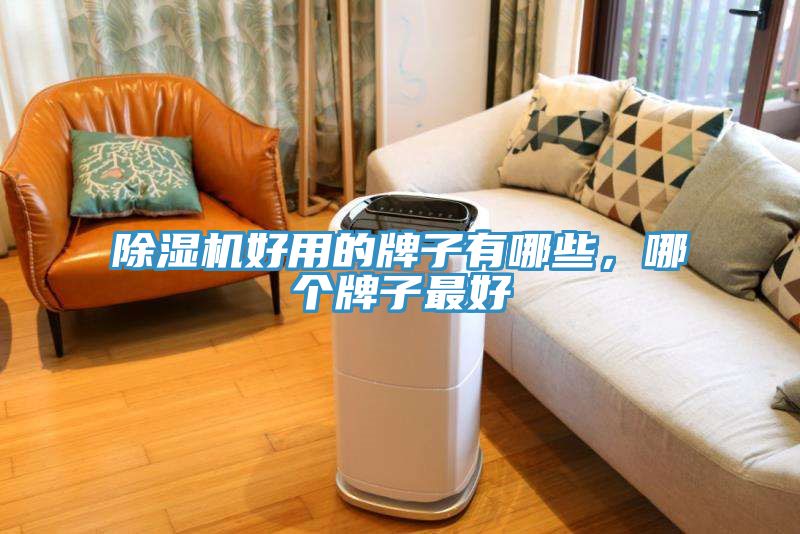 除濕機好用的牌子有哪些，哪個牌子最好