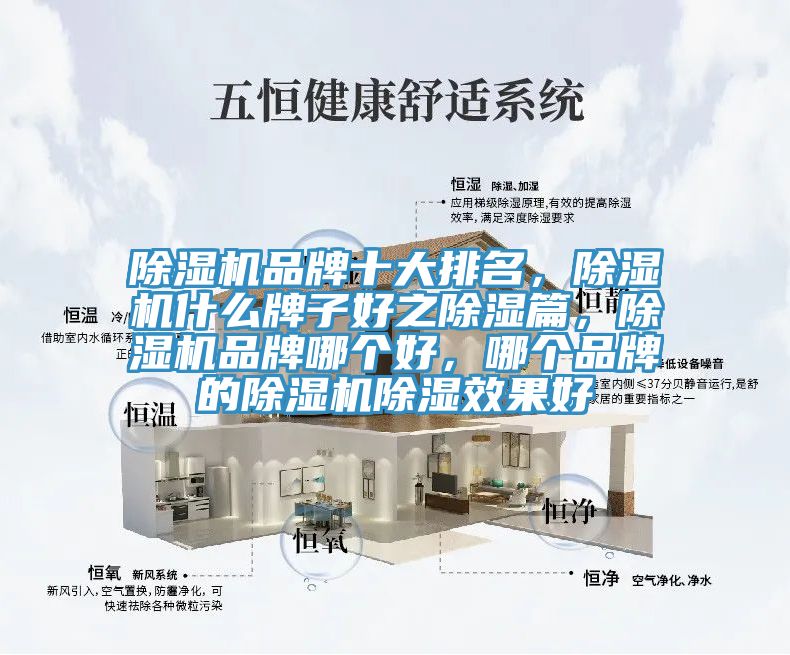 除濕機(jī)品牌十大排名，除濕機(jī)什么牌子好之除濕篇，除濕機(jī)品牌哪個(gè)好，哪個(gè)品牌的除濕機(jī)除濕效果好