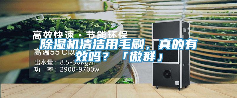 除濕機(jī)清潔用毛刷，真的有效嗎？「傲群」