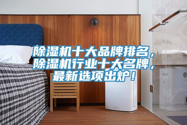除濕機十大品牌排名，除濕機行業(yè)十大名牌，最新選項出爐！