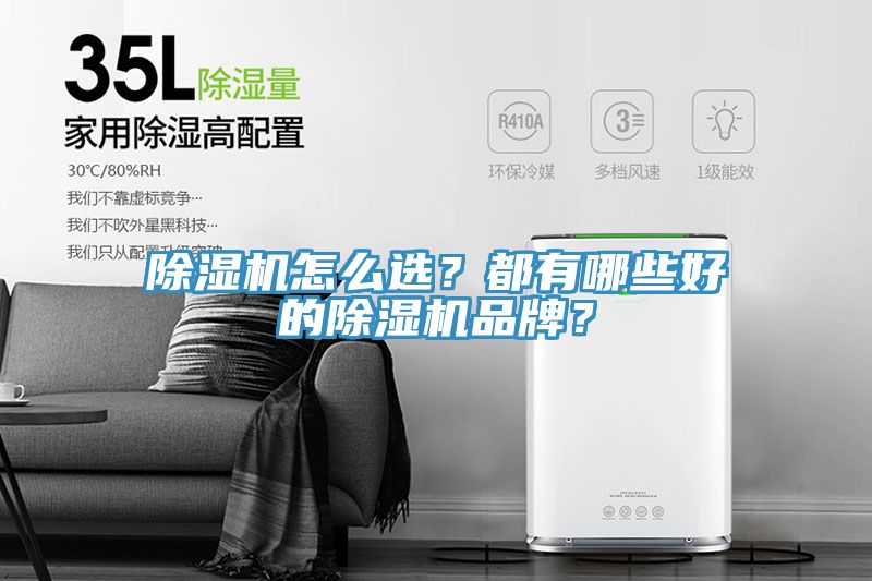 除濕機(jī)怎么選？都有哪些好的除濕機(jī)品牌？