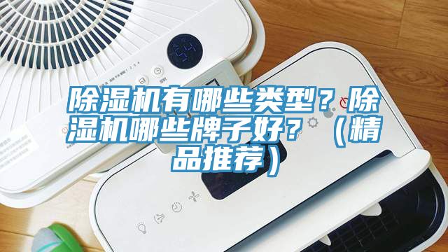 除濕機(jī)有哪些類型？除濕機(jī)哪些牌子好？（精品推薦）