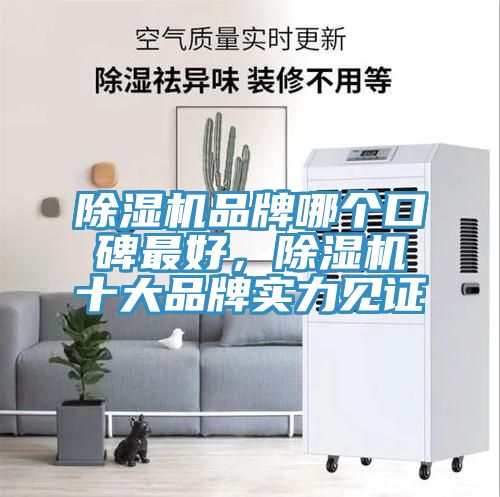 除濕機(jī)品牌哪個(gè)口碑最好，除濕機(jī)十大品牌實(shí)力見(jiàn)證