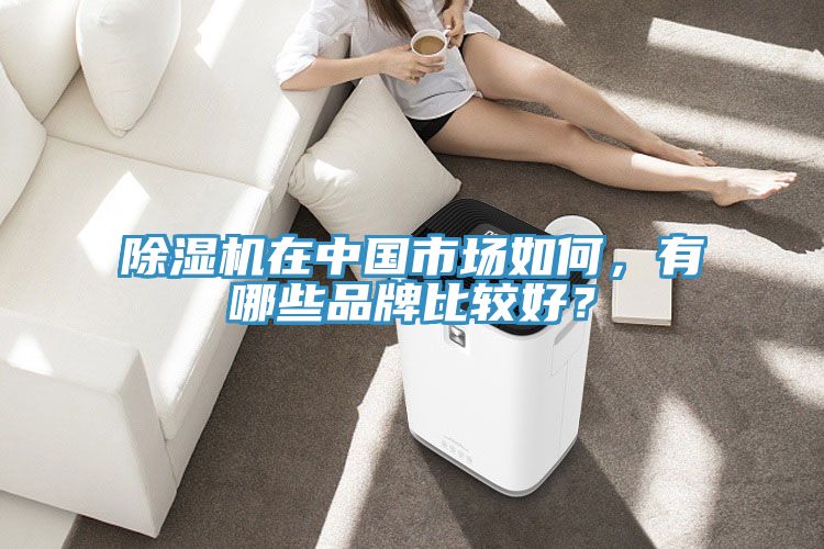 除濕機(jī)在中國(guó)市場(chǎng)如何，有哪些品牌比較好？