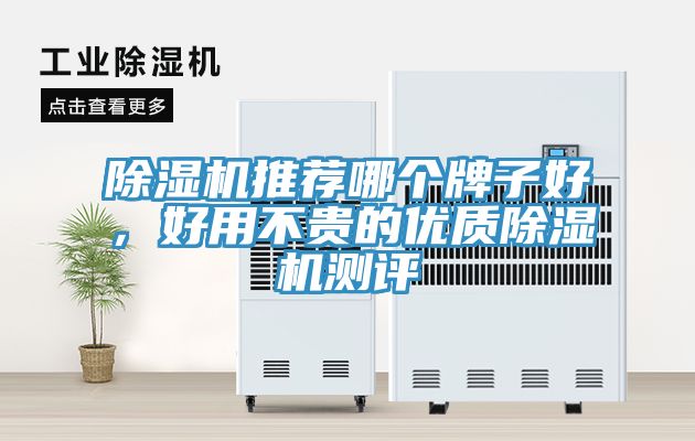 除濕機(jī)推薦哪個(gè)牌子好，好用不貴的優(yōu)質(zhì)除濕機(jī)測(cè)評(píng)