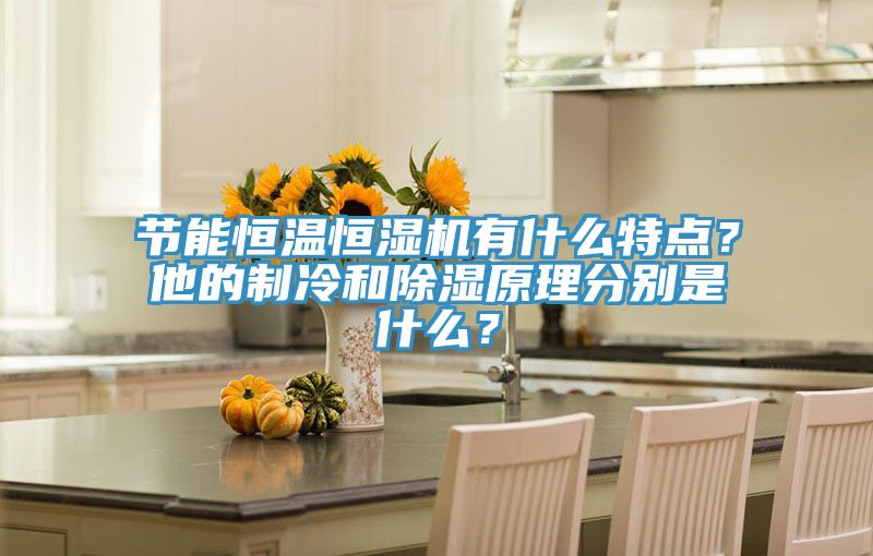 節(jié)能恒溫恒濕機(jī)有什么特點？他的制冷和除濕原理分別是什么？